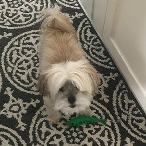 Meet your Posher, Victoria